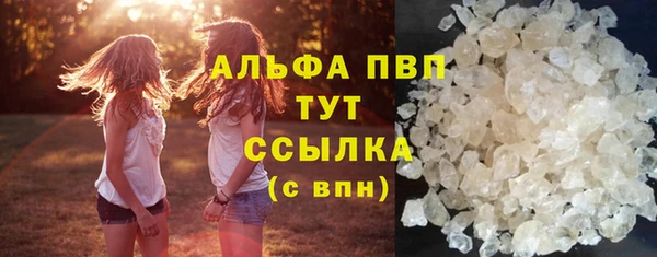 дживик Балахна