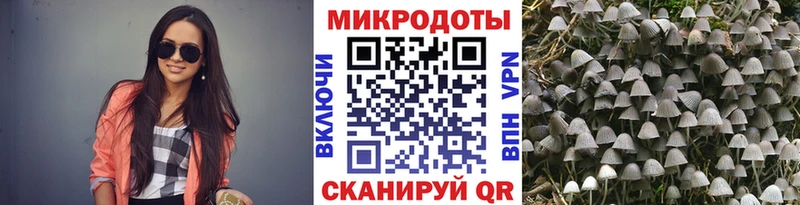 Галлюциногенные грибы Magic Shrooms Кораблино